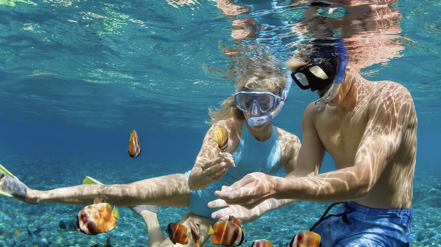 印尼峇里島佩妮達島體驗潛水浮潛2小時【4點浮潛體驗，魔鬼魚灣，水晶灣GamatBay，GT/Wall Point】