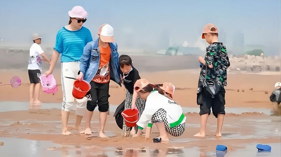 廈門環島路+帆船出海+灘塗趕海一日遊【上門接駁|贈海鮮餐】