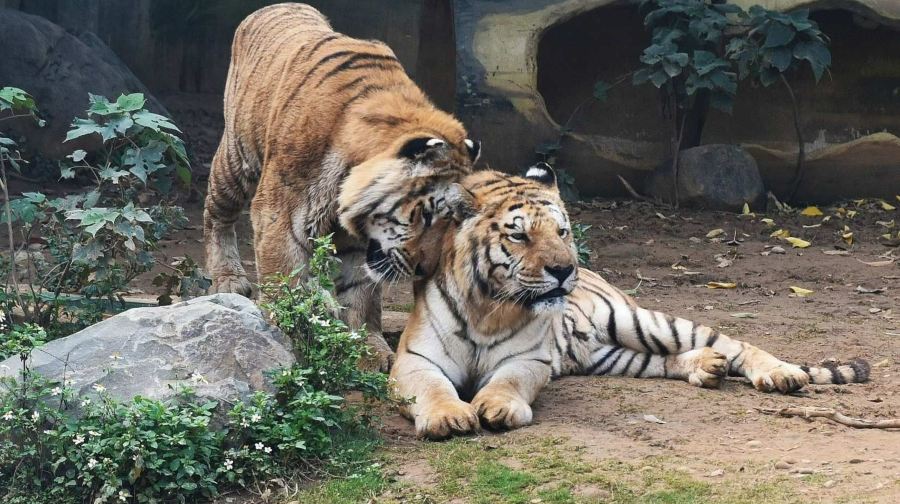 新竹市立動物園