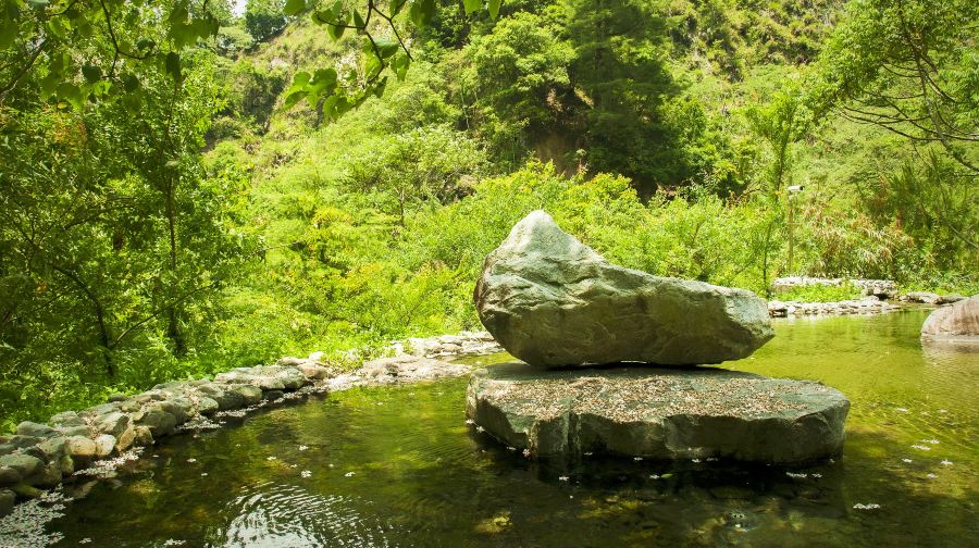 八仙山國家森林遊樂區