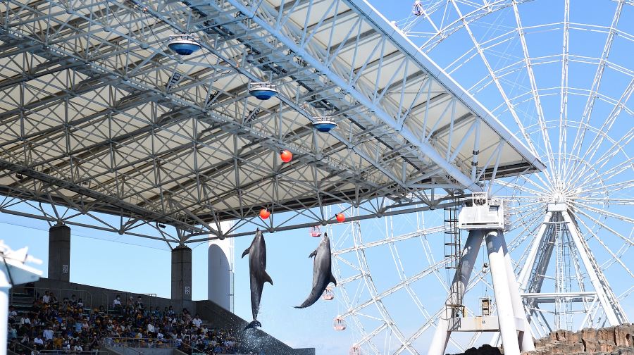 名古屋港水族館