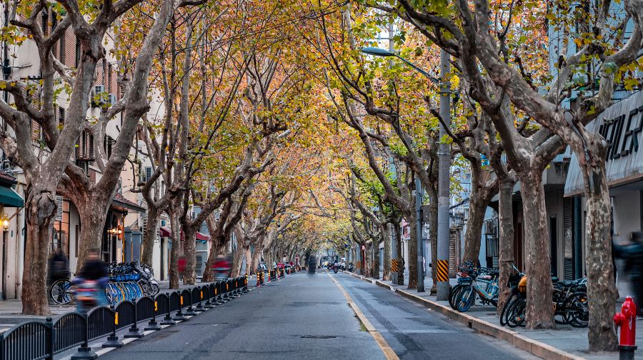 上海武康路+四行倉庫抗戰紀念館 人員深度導覽