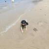 comment-small-img