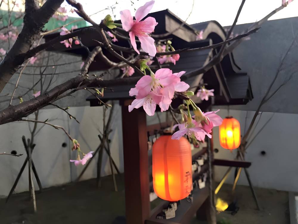 飯店圖片