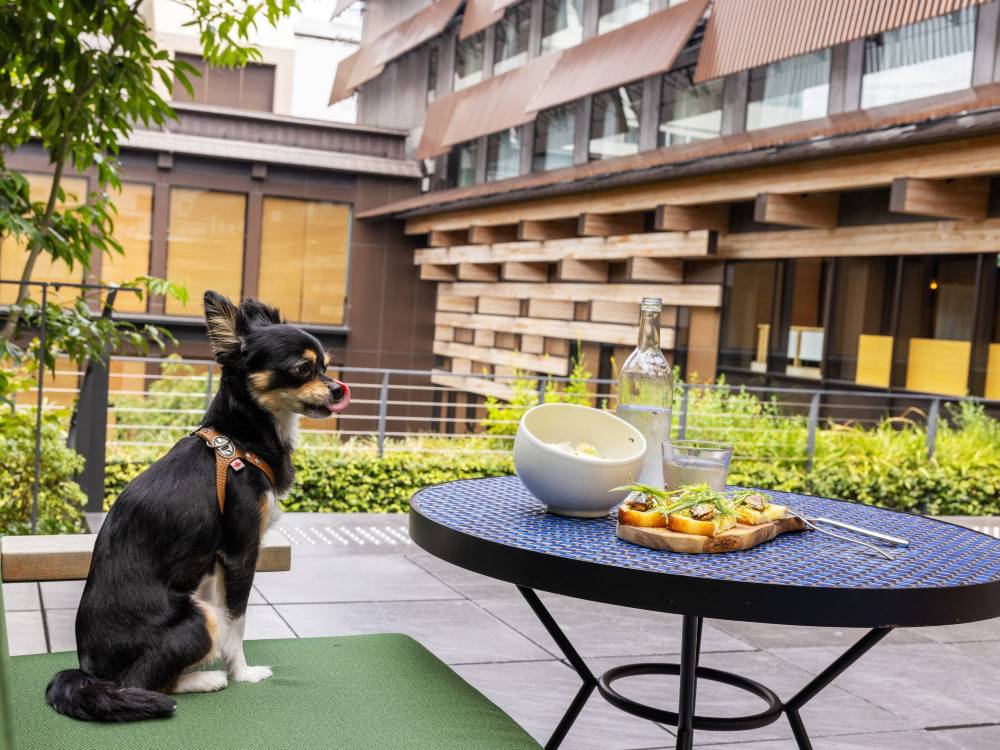 飯店圖片