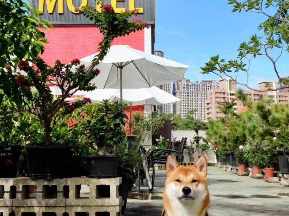 飯店圖片