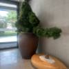 comment-small-img