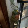 comment-small-img