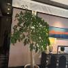 comment-small-img
