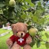 comment-small-img