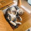 comment-small-img