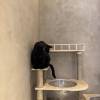 comment-small-img