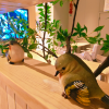 comment-small-img