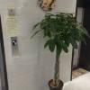 comment-small-img