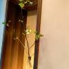 comment-small-img