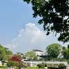 comment-small-img