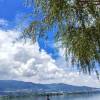 comment-small-img