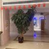 comment-small-img