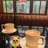 comment-small-img