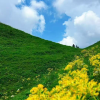 comment-small-img