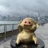 comment-small-img