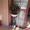 comment-small-img