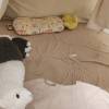 comment-small-img