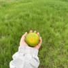 comment-small-img