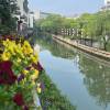 comment-small-img