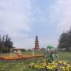comment-small-img