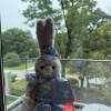 comment-small-img
