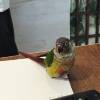 comment-small-img