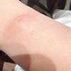 comment-small-img
