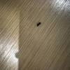 comment-small-img