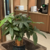 comment-small-img