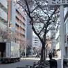 comment-small-img