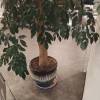 comment-small-img