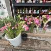 comment-small-img