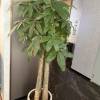 comment-small-img