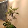 comment-small-img