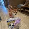 comment-small-img