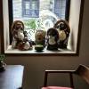 comment-small-img