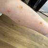 comment-small-img