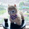 comment-small-img