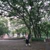 comment-small-img