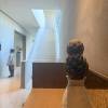 comment-small-img