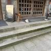 comment-small-img