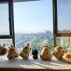 comment-small-img