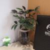 comment-small-img