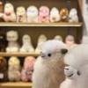 comment-small-img